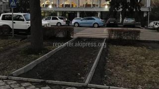 «Бишкекасфальтсервис» заасфальтирует участок перед пешеходным переходом после 15 марта