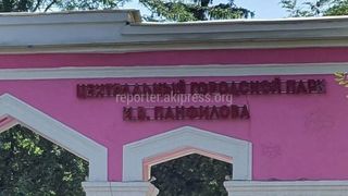 Почему арка парка Панфилова покрашена в розовый цвет? Ответ мэрии