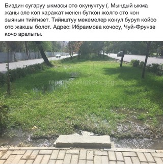 Ибраимов көчөсүндө дарактарды суугаруу тротуарды бузуп жатат – окурман <b>(фото)</b>