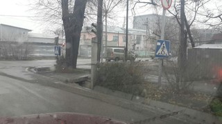 Дорожные знаки на перекрестке Панфилова-Кулатова установлены низко, - читатель (фото)