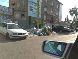 На Кулатова-Ибраимова не вывозится мусор, - бишкекчанин (фото)