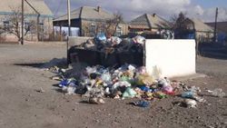 В городе Балыкчи на улице Осмонова не вывозят мусор, - местный житель (фото)