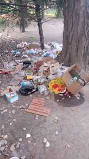 В парке Панфилова в Бишкеке образовалась свалка (фото)