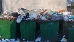 В Бишкеке на ул.Логвиненко возле СШ №35 не вывозят мусор, - горожанин (фото)