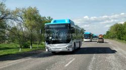 В День города в Бишкеке запустят 60 новых автобусов