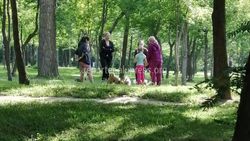 В парке Ореховой рощи выгуливают собак и не убирают за ними (фото)