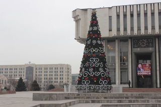 Фоторепортаж — Новогодние елки Бишкека