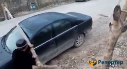 Мужчина протаранил шлагбаум в Баткенской области. Видео