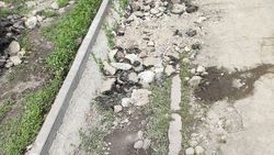 При реконструкции тротуаров на Дэн Сяопина ликвидировали арычную систему, - горожанин. Фото