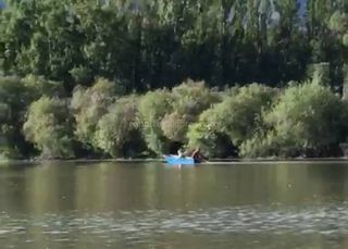 Видео — Среди бела дня на озере Иссык-Куль мужчины ловили рыбу неводом