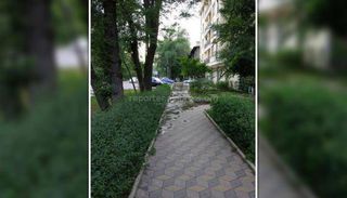 На Московской—Тоголок Молдо вода топит тротуар из-за плохого функционирования арычной сети (фото)