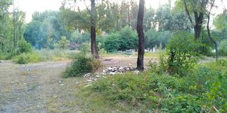 Парк «Сейил» рядом с Госрезиденцией «Ала-Арча» завален мусором <i>(фото)</i>