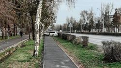 На Советской легковушка слетела с дороги и врезалась в березу. Фото