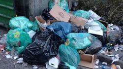 Горожанка жалуется на мусор возле «Бишкек Парка». Видео и фото