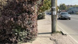 «Бишкекасфальтсервис» не планирует ремонт тротуара по Ахунбаева, - мэрия