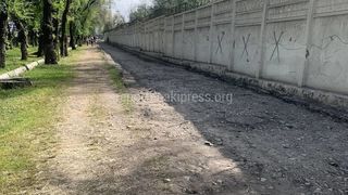 Ремонт тротуара на Айтматова около Госрегистра закончат через 15-20 дней, - мэрия