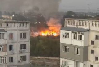 В Бишкеке горит Ботсад. <b>Видео</b>