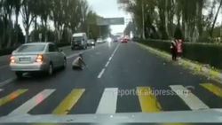 Видео — В Бишкеке машина сбила женщину на пешеходном переходе