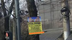 На Байтик Баатыра-Ахунбаева к дереву прибита рекламная табличка (фото)