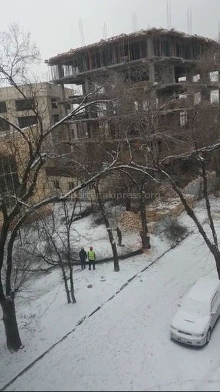 Бишкекчанин интересуется законностью вырубки деревьев во дворе дома №7 в 3 мкр <i>(видео)</i>
