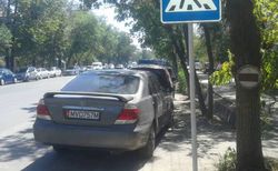 На ул. Лермонтова возле ТЦ «Таатан» водитель «Тойоты» припарковался на пешеходном переходе (фото)