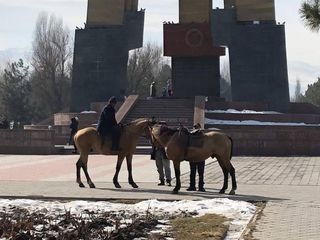 Бишкекчанин опасается лошадей, которые гуляют в парке на Южных воротах (фото)