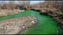 Видео — Очевидец заявил, что вода в реке Аламедин окрасилась в ярко-зеленый цвет. Мэрия утверждает, что это фейк