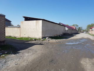 В селе Кок-Жар на ул.Кольбаева вода вытекает из под земли (фото)