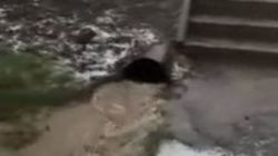 В Нарыне после дождя вода топит жилые дома, - местная жительница. Видео