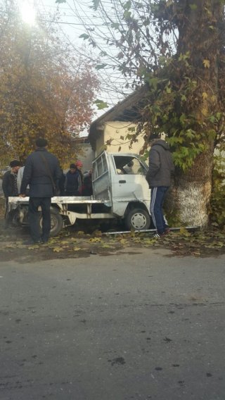 В Джалал-Абаде водитель «Дэу Лабо» не справился с управлением и въехал в дерево <b>(фото)</b>