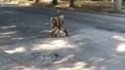 Горожанин жалуется на яму на дороге по ул.Интергельпо. Видео