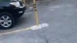 Законно ли на ул.Герцена организовали закрытую стоянку на тротуаре? - горожанин. Видео