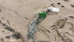Жительница села Кызыл-Суу обнаружила на берегу Иссык-Куля самодельные сети для ловли рыбы. Фото и видео