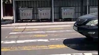 Видео — Нестандартная «зебра», ведущая к мусорной площадке