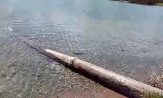 Видео — Не загрязняет ли очистное сооружение в Чолпон-Ате озеро Иссык-Куль?