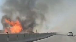 На объездной дороге возле Токмока горит лесополоса. Видео