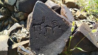 Фото — В селе Разан-Сай нашли петроглифы