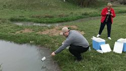 Министерство природных ресурсов отобрало пробу воды в реке Кара-Буринского района. Фото