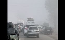 Пробка из машин на кыргызско-казахской границе