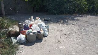Житель Токмока просит чаще вывозить мусор из улицы Фурманова