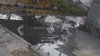 «Бишкекзеленхоз» устранили причину затопа тротуара на Фучика