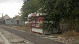 Законно ли на Жантошева установили павильон с фасфудом? Ответ «Бишкекглавархитектуры»
