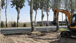 На Айтматова стройкомпания уничтожает деревья для организации выезда из дома. Ответ «Бишкекглавархитектуры»