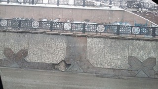 Облицовка стены под мостом по проспекту Манаса отваливается, - читатель (фото)