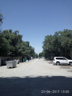 Читатель просит восстановить асфальтное покрытие на отрезке улицы Коенкозова в Бишкеке (фото)