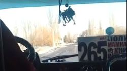 Водитель маршрутки №265 самовольно поднял тариф за проезд? (видео)