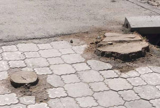 На улице Турусбекова остались пеньки посреди брусчатки, - бишкекчанин (фото)