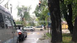 По вопросу дерева загораживающий обзор на бул. Молодой Гвардии, «Бишкекзеленхоз» примет меры, мэрия
