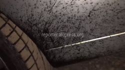 На Жибек-Жолу во время дорожных работ, залитый битум забрызгал машины (видео)