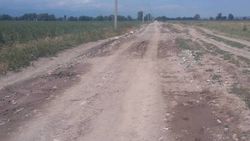В селе Александровка дорогу посыпают глиной вместо гравия <i>(фото)</i>